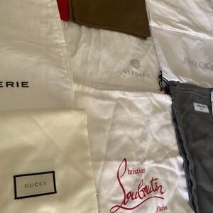 Designer Shoe Bags
